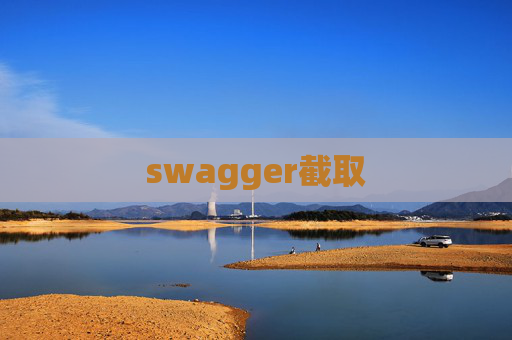 swagger截取